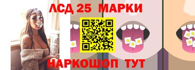 spice Бердск