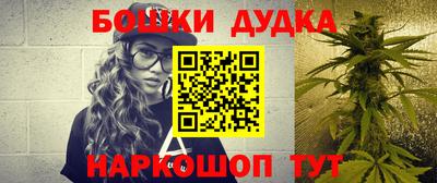 spice Бердск