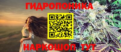 spice Бердск