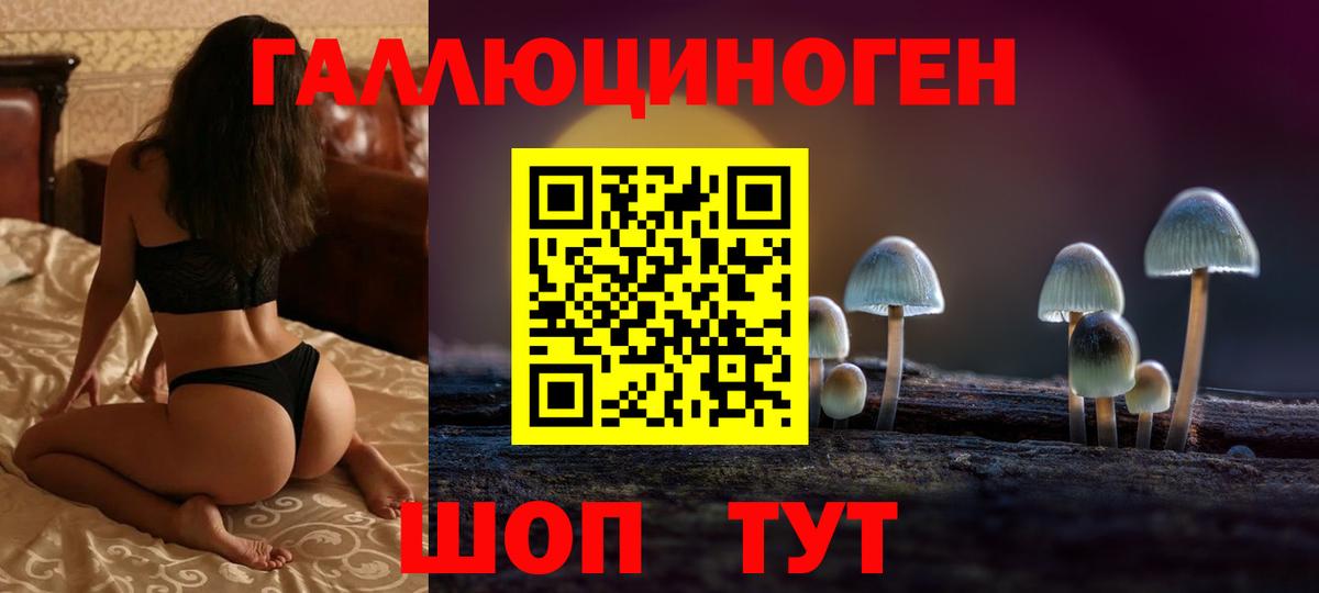 Галлюциногенные грибы MAGIC MUSHROOMS Алатырь